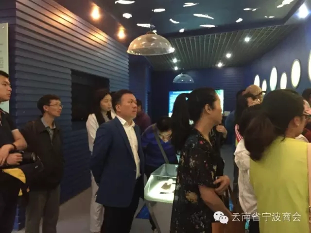 澄江帽天山化石保护基地，参观了解距今5.3亿年的古生物化石